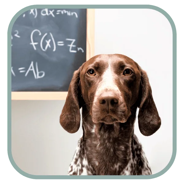 Coats and Colors Home Learning Genetics Basics Banner