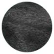 coat colors eumelanin black
