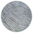 coat colors eumelanin silver grey