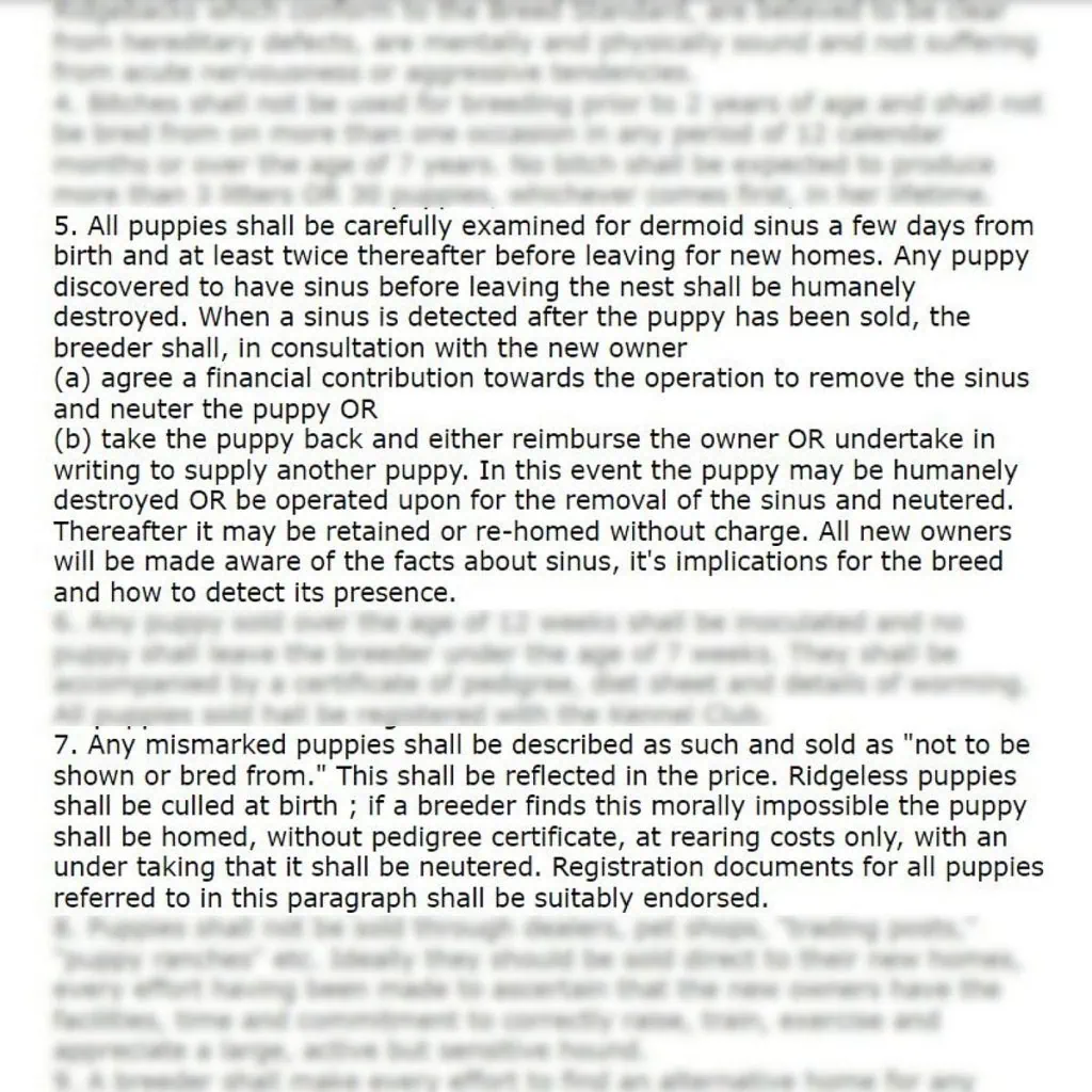 Rhodesian Ridgeback Club of Great Britain Code of Ethics 2006 Screenshot Wayback Machine