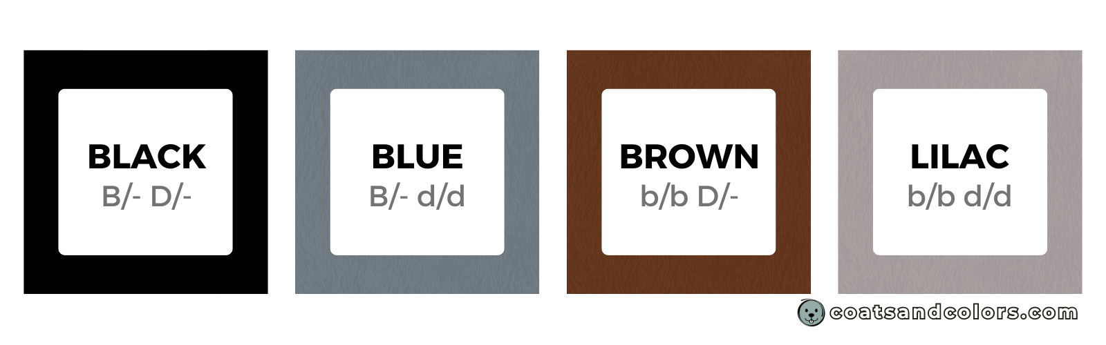 coatsandcolors eumelanin base colors all