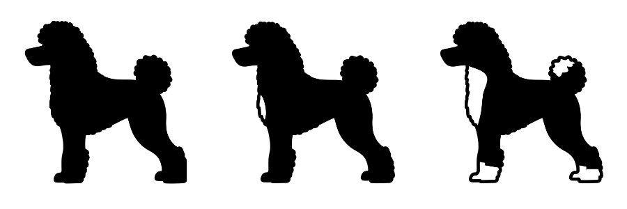 coatsandcolors.com Abstract Poodle
