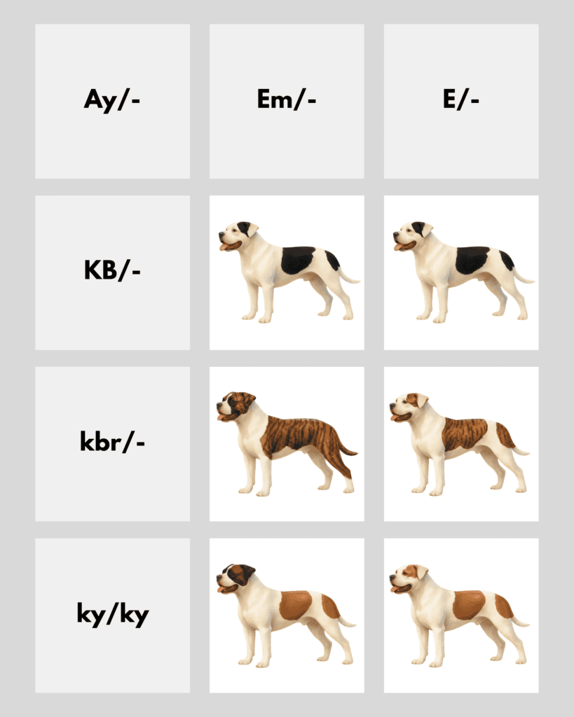 coatsandcolors.com American Bulldog Colors color chart