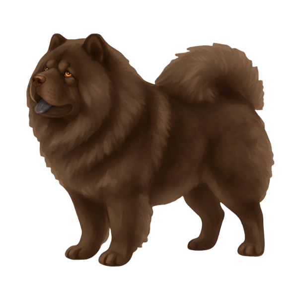 coatsandcolors.com Chow Chow colors faulty colors chocolate