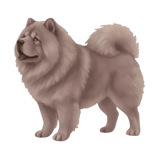 coatsandcolors.com Chow Chow colors faulty colors lilac