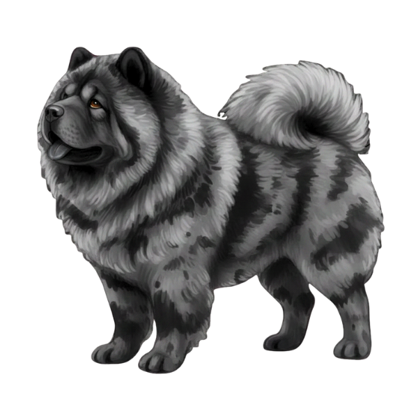 coatsandcolors.com Chow Chow colors faulty colors merle