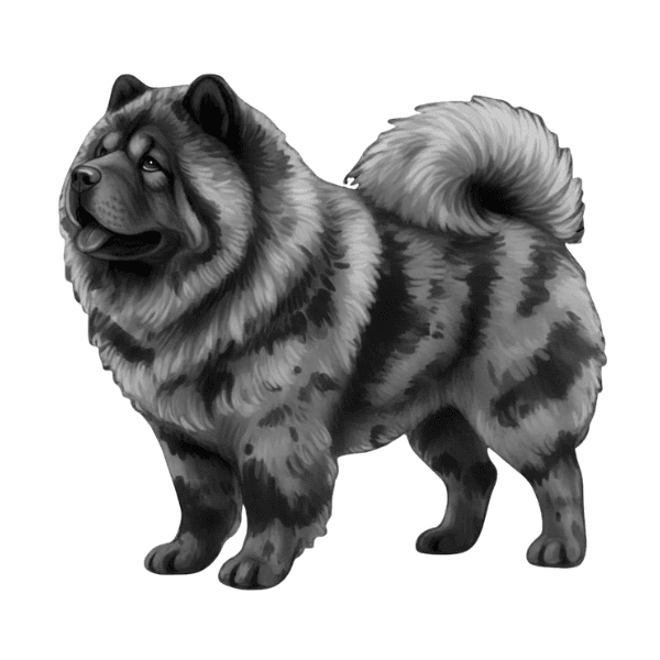coatsandcolors.com Chow Chow colors faulty colors merle