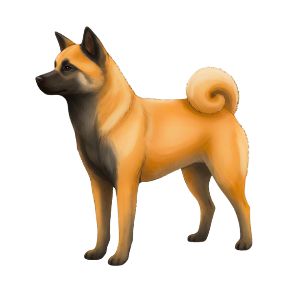 coatsandcolors.com Japanese Akita Inu Colors faulty colors black mask