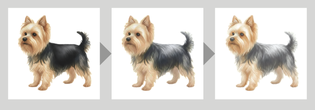 coatsandcolors.com Yorkshire Terrier Colors graying chart