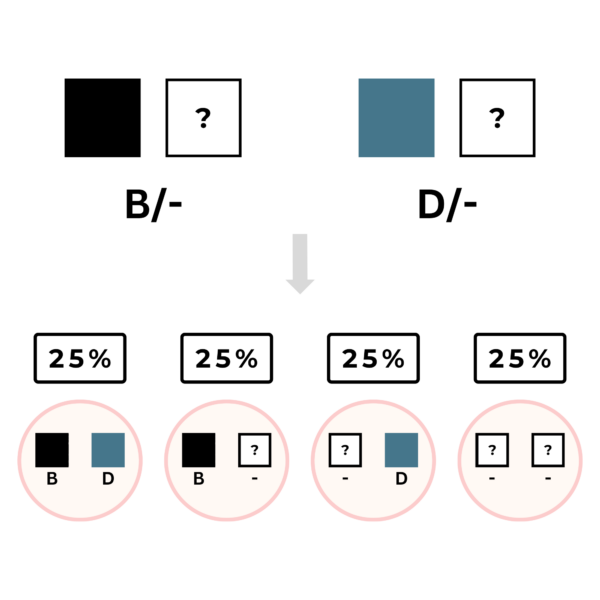 coatsandcolors.com color inheritance example uncertainty