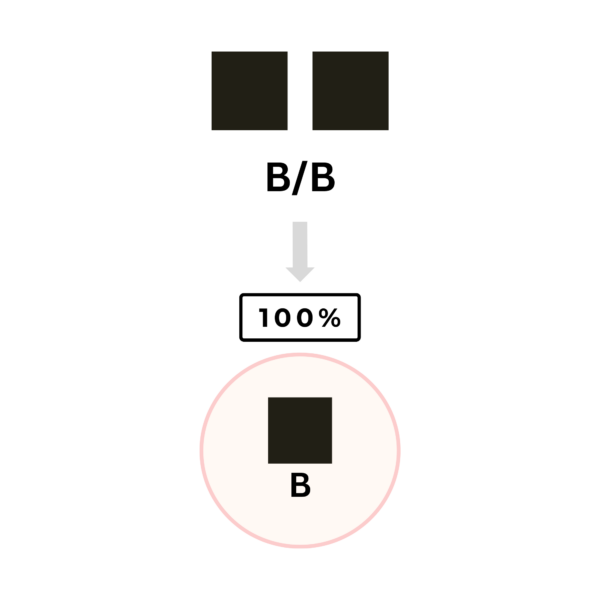 coatsandcolors.com color inheritance homozygosity possible gametes