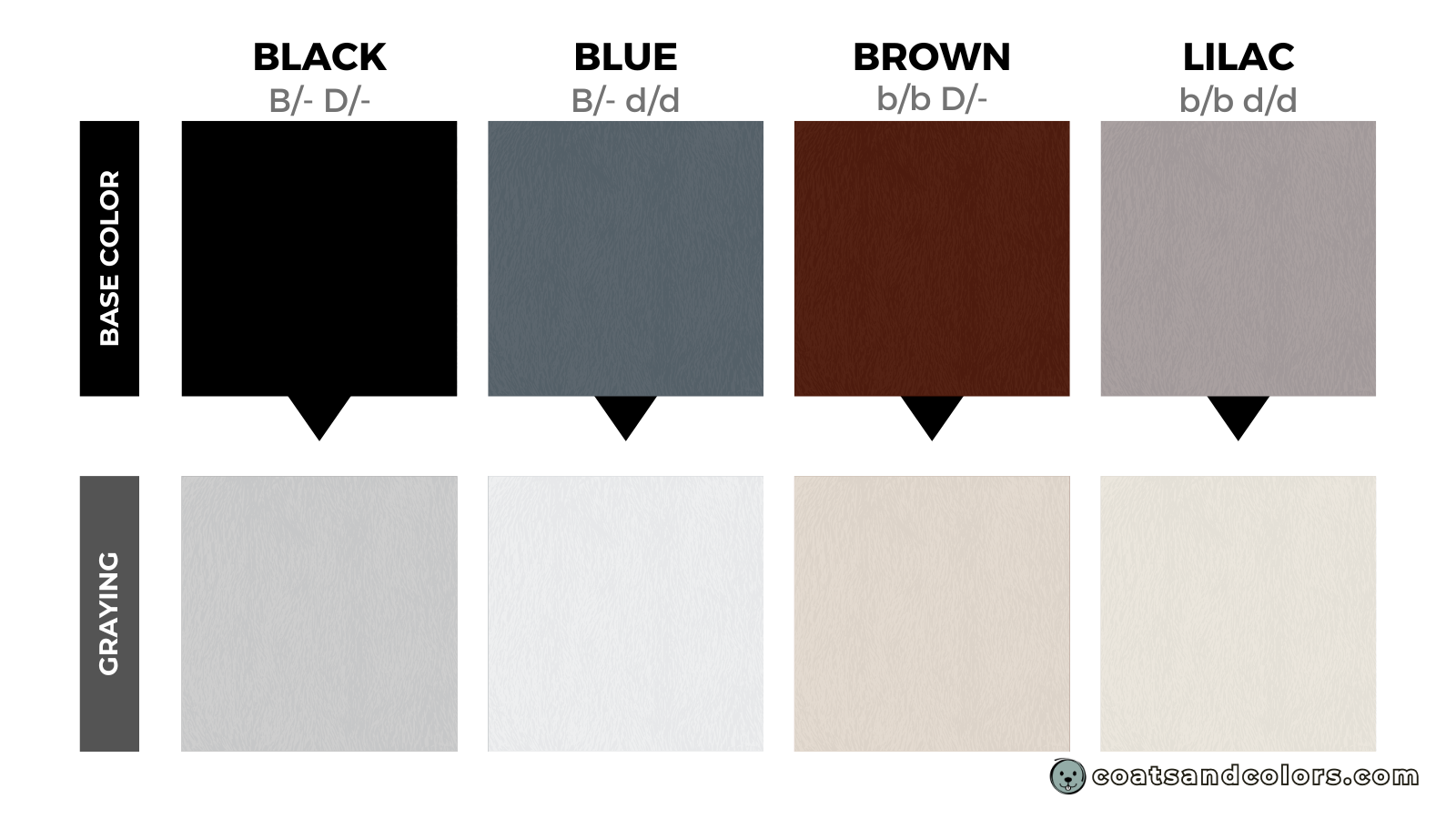 coatsandcolors.com eumelanin colors faded colors