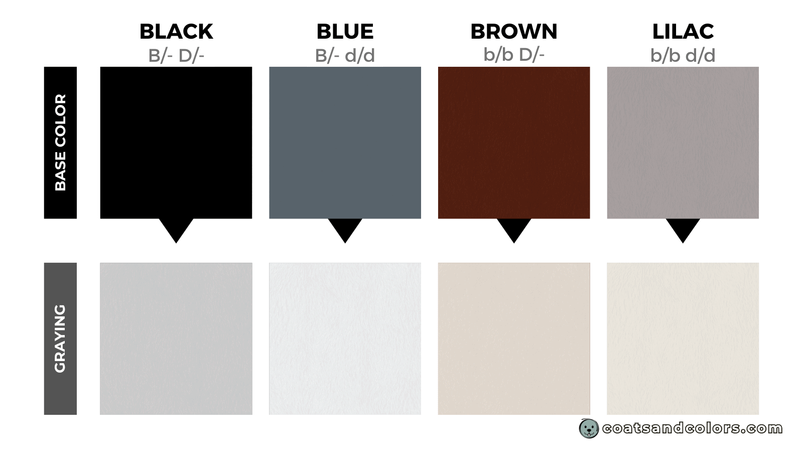 coatsandcolors.com eumelanin colors faded colors
