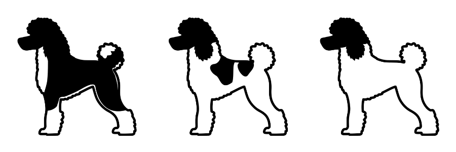 coatsandcolors.com parti Poodle